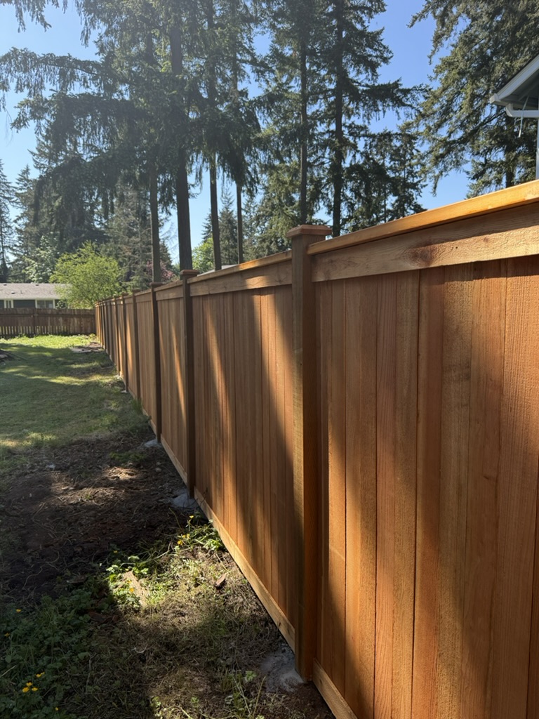 Cedar privacy fence with exposed mounded concrete footings along the post line
