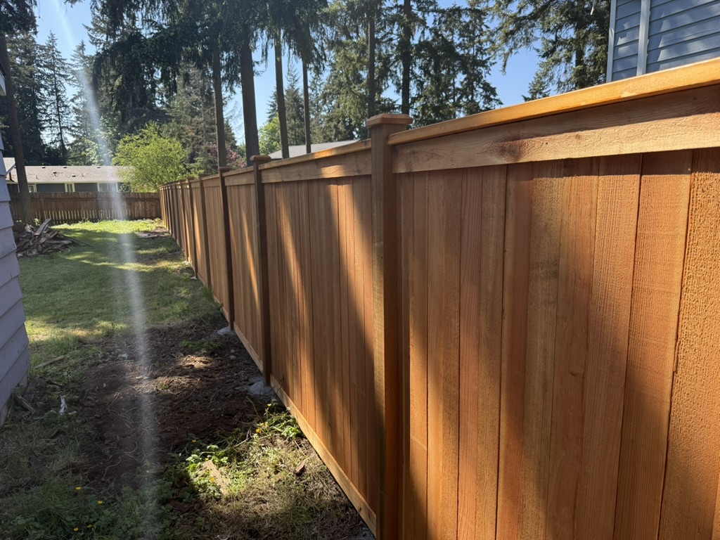 Long run of cedar fence posts set in above-grade domed concrete