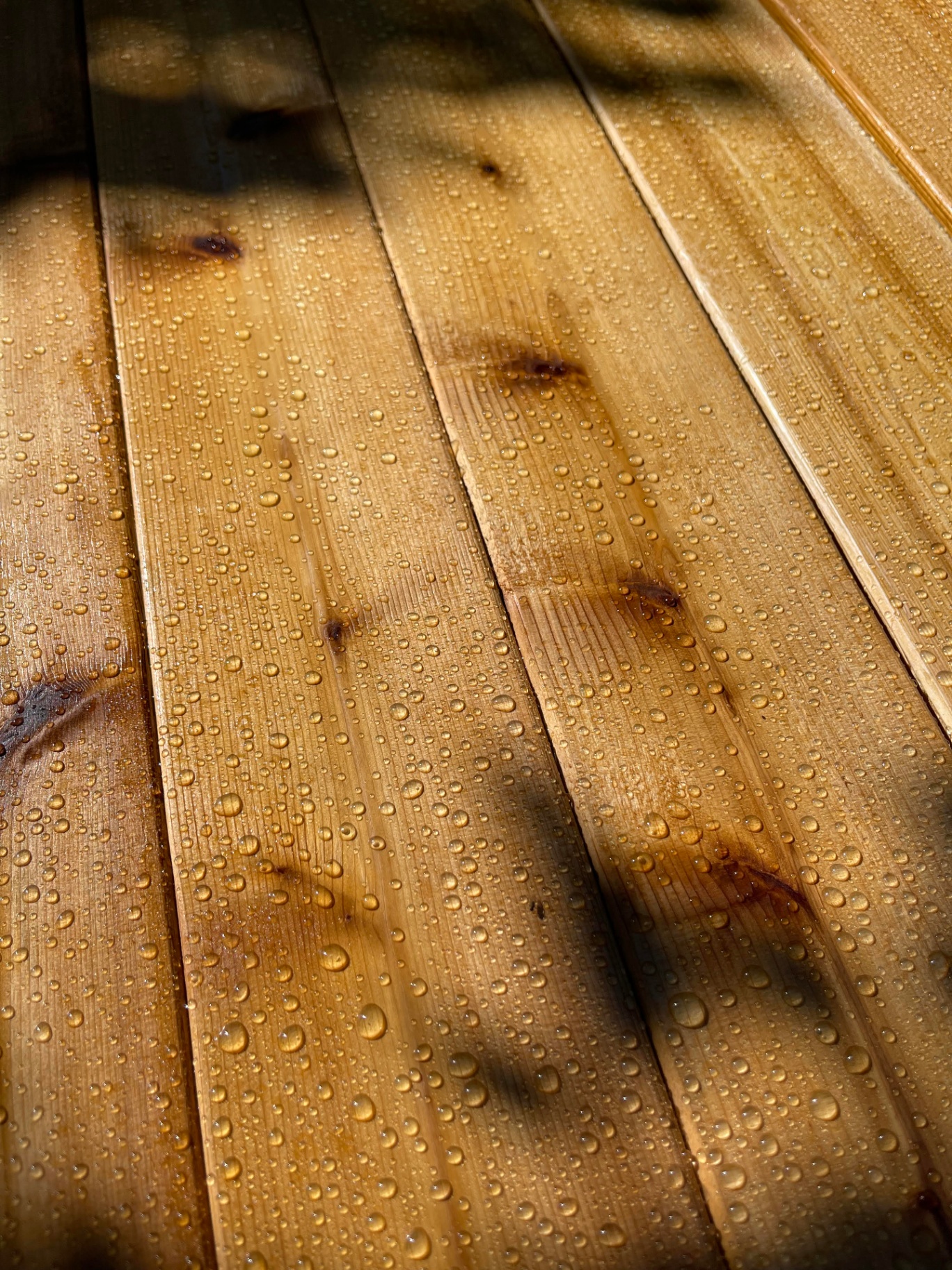 Pre-Staining add-on option for Seattle fences by MyFence.com