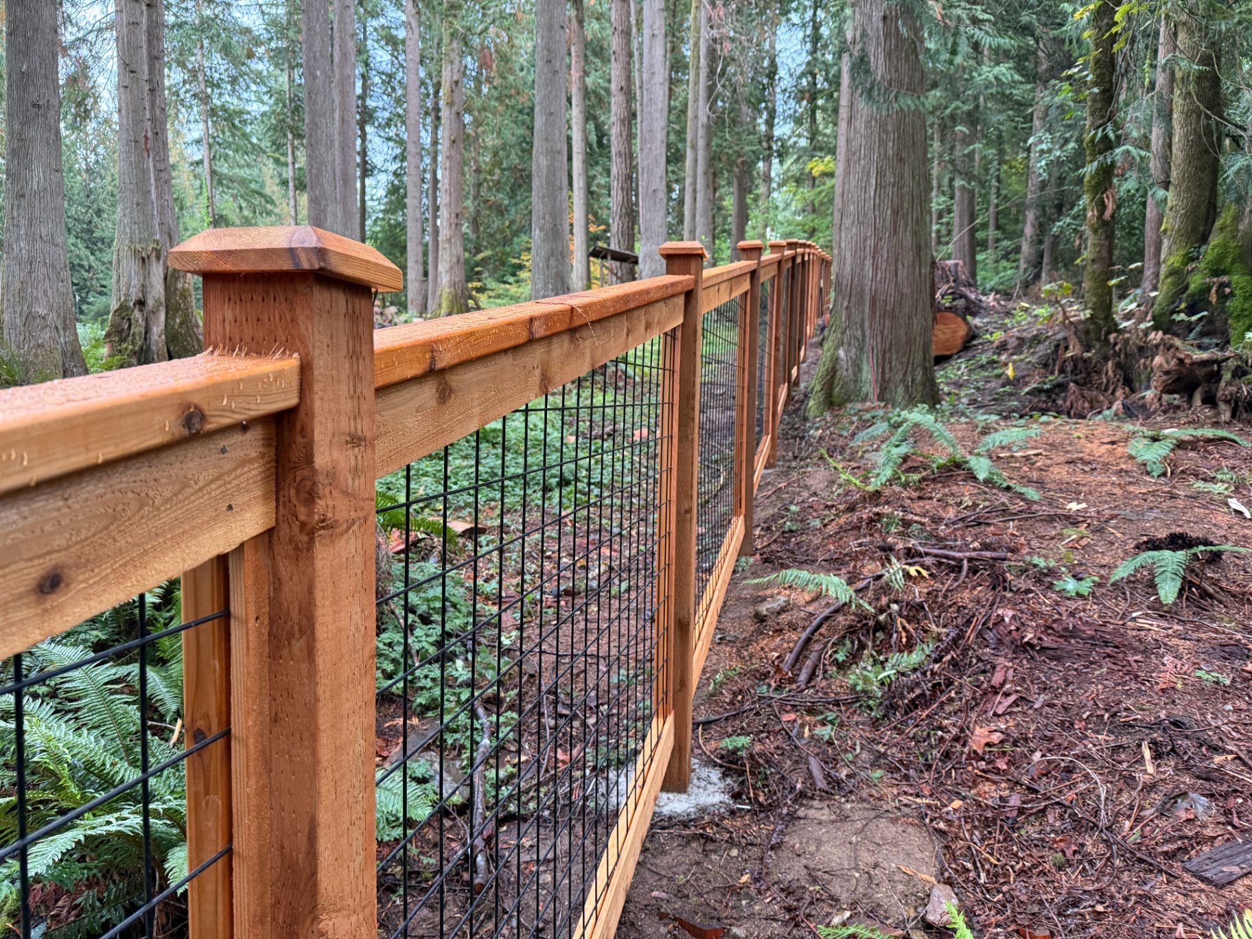 Black hogwire fence with cedar frame in wooded Pacific Northwest setting