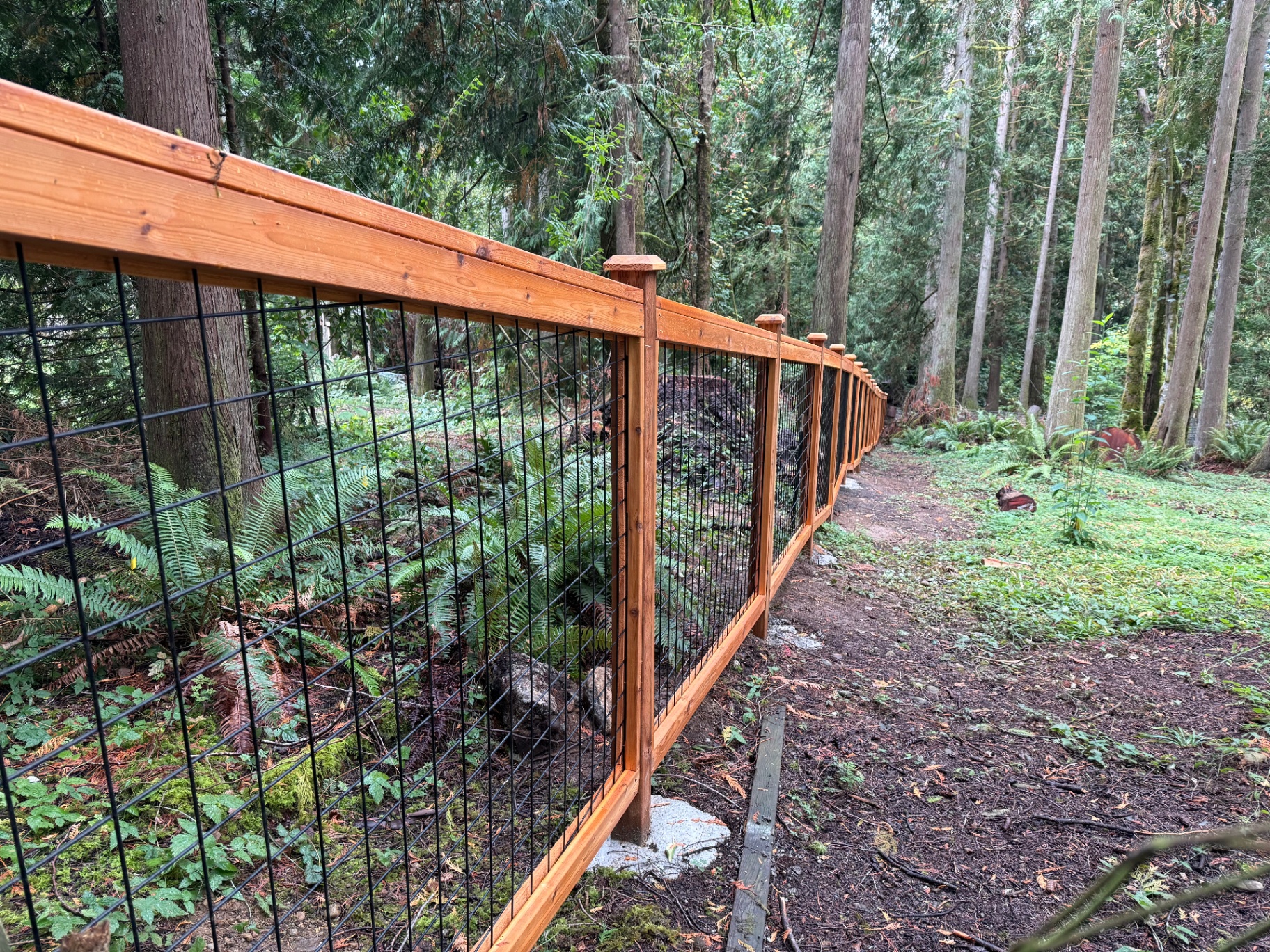 Long run of black hogwire fence through forested backyard