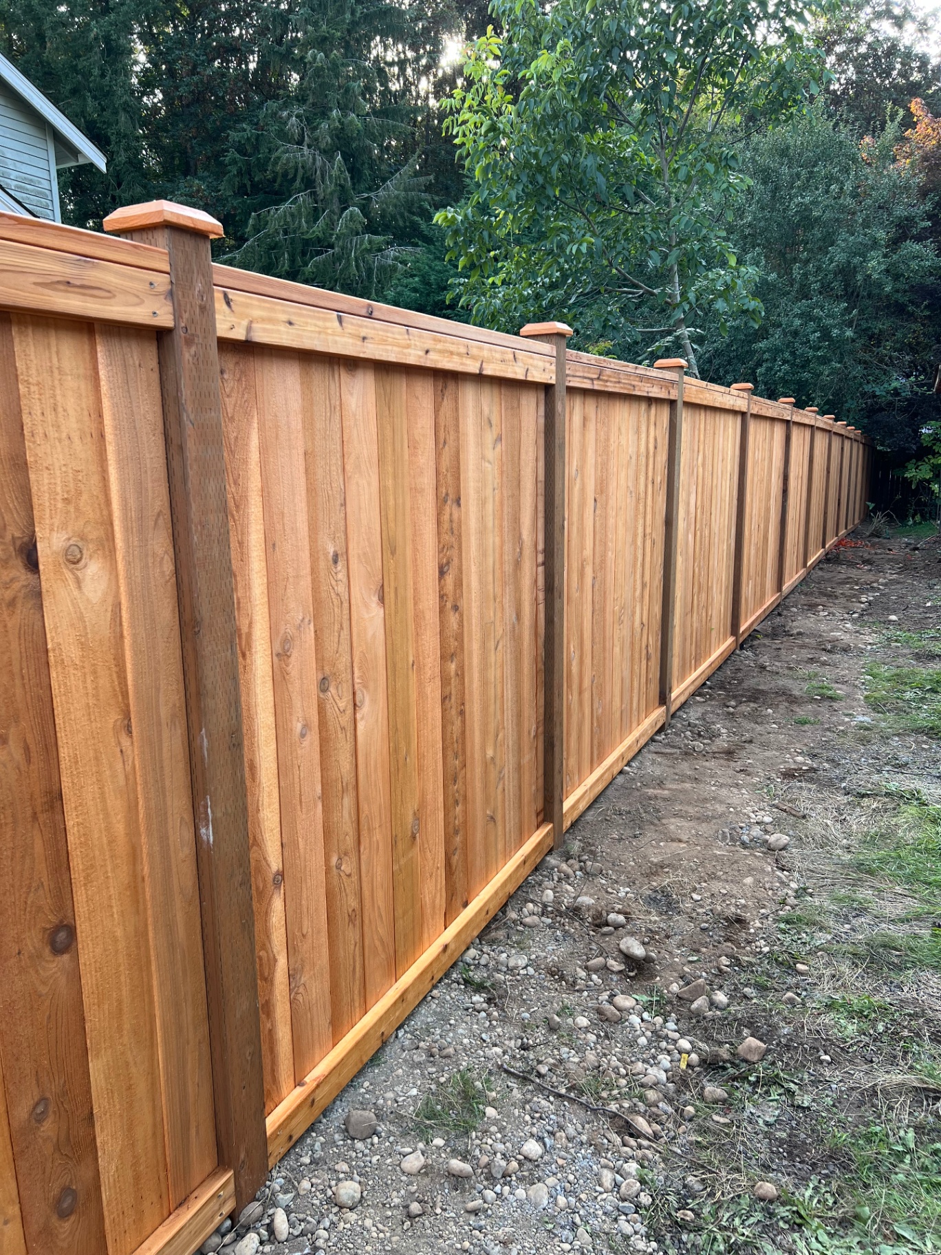 Picture frame cedar fence with post caps, long run