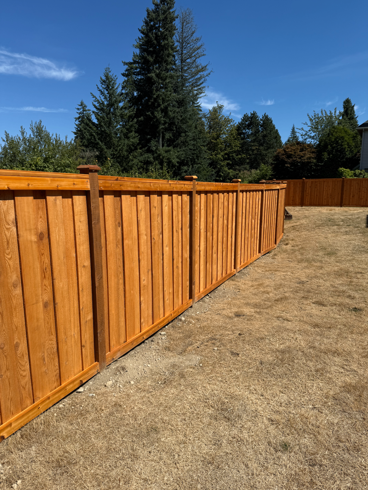 Board on board fence showing overlapping boards and 3D depth effect