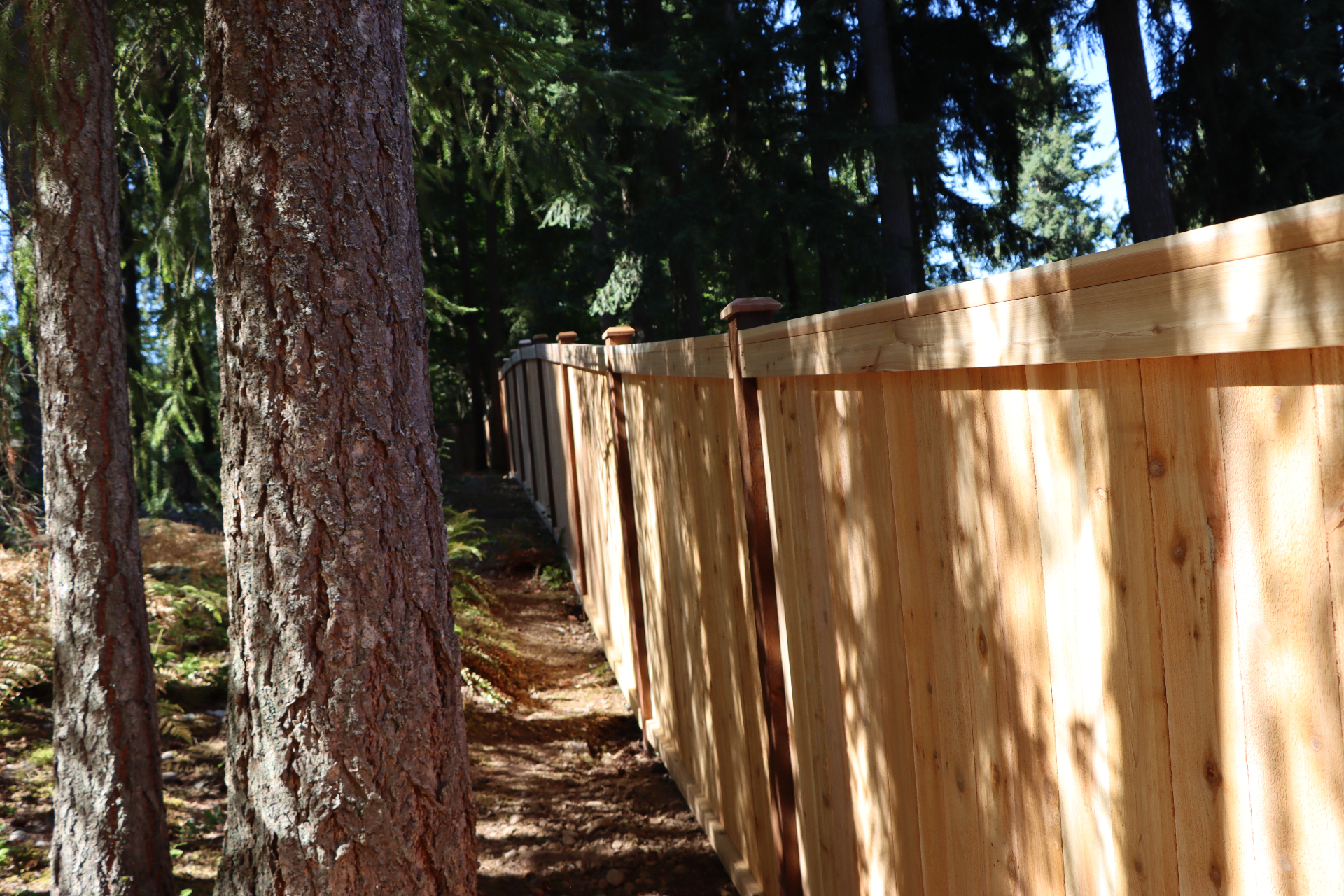 Picture frame fence through trees with consistent top line