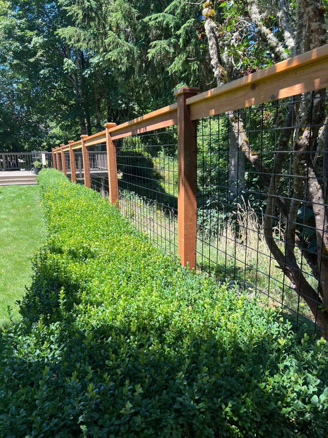 Long section of black hogwire fencing with landscaping
