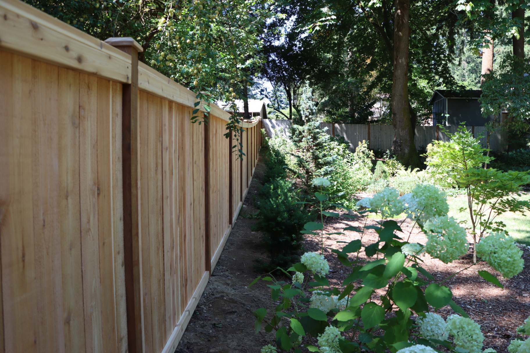Garden-side view of stained cedar fence demonstrating proper stain application