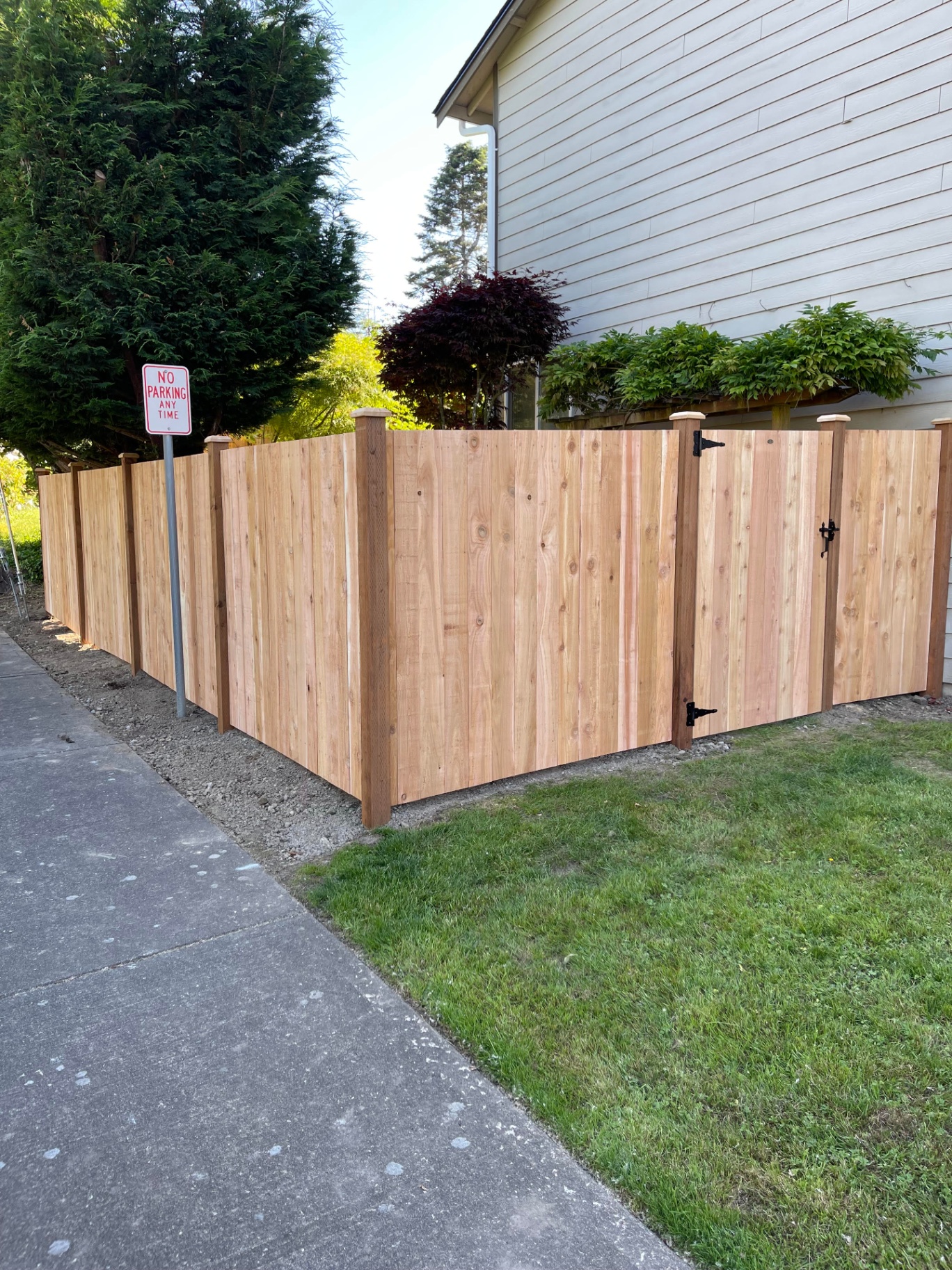 Fresh cedar solid board fence installation showing clean lines and budget-friendly construction