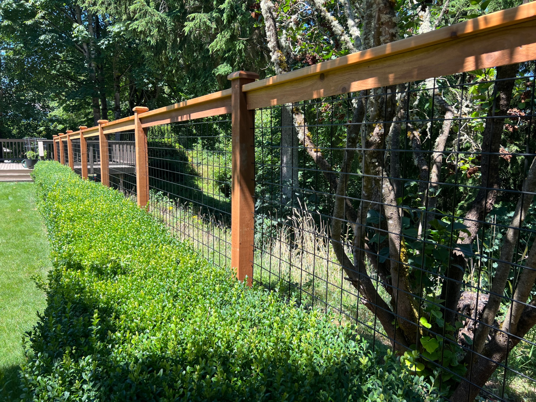 6' Black Hogwire Fence in Seattle