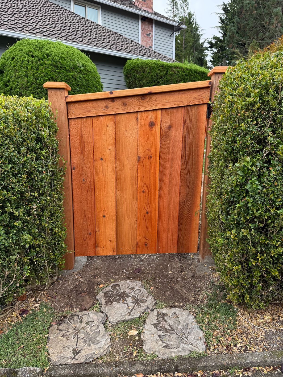 Modified cedar picture frame privacy fence with gate installed in Federal Way, WA, photo 14