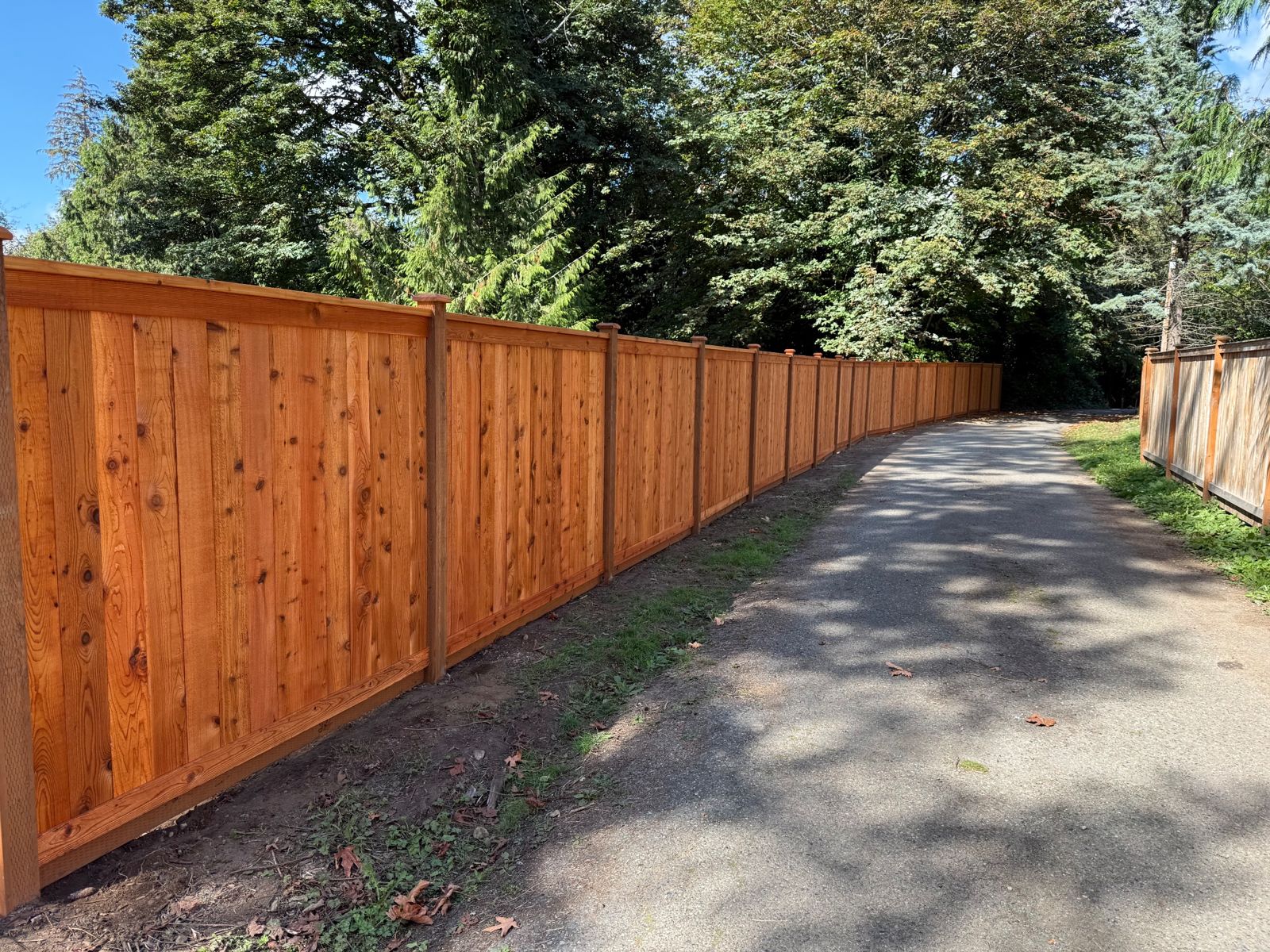 Cedar picture frame privacy fence installed in Maple Valley, WA, photo 04