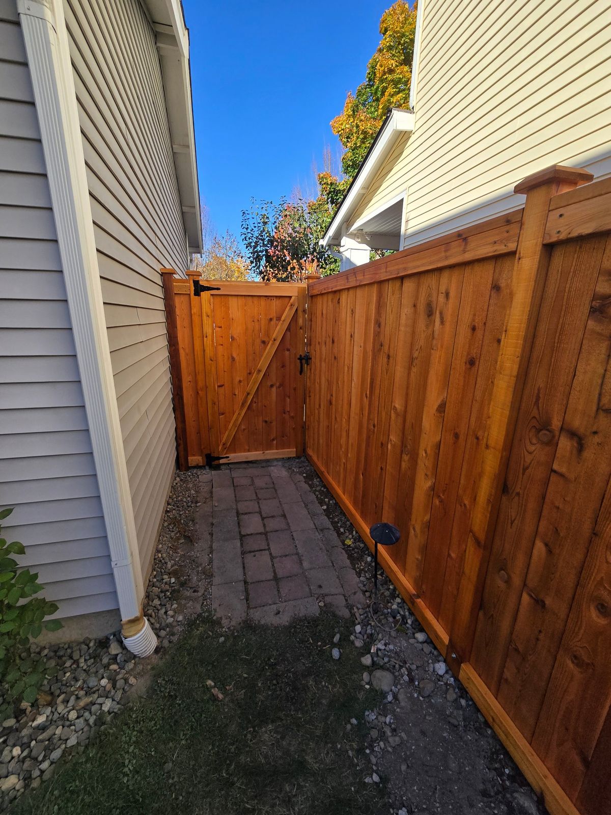 Penofin-stained cedar picture frame privacy fence and walk gate along a side yard in Maple Valley, WA