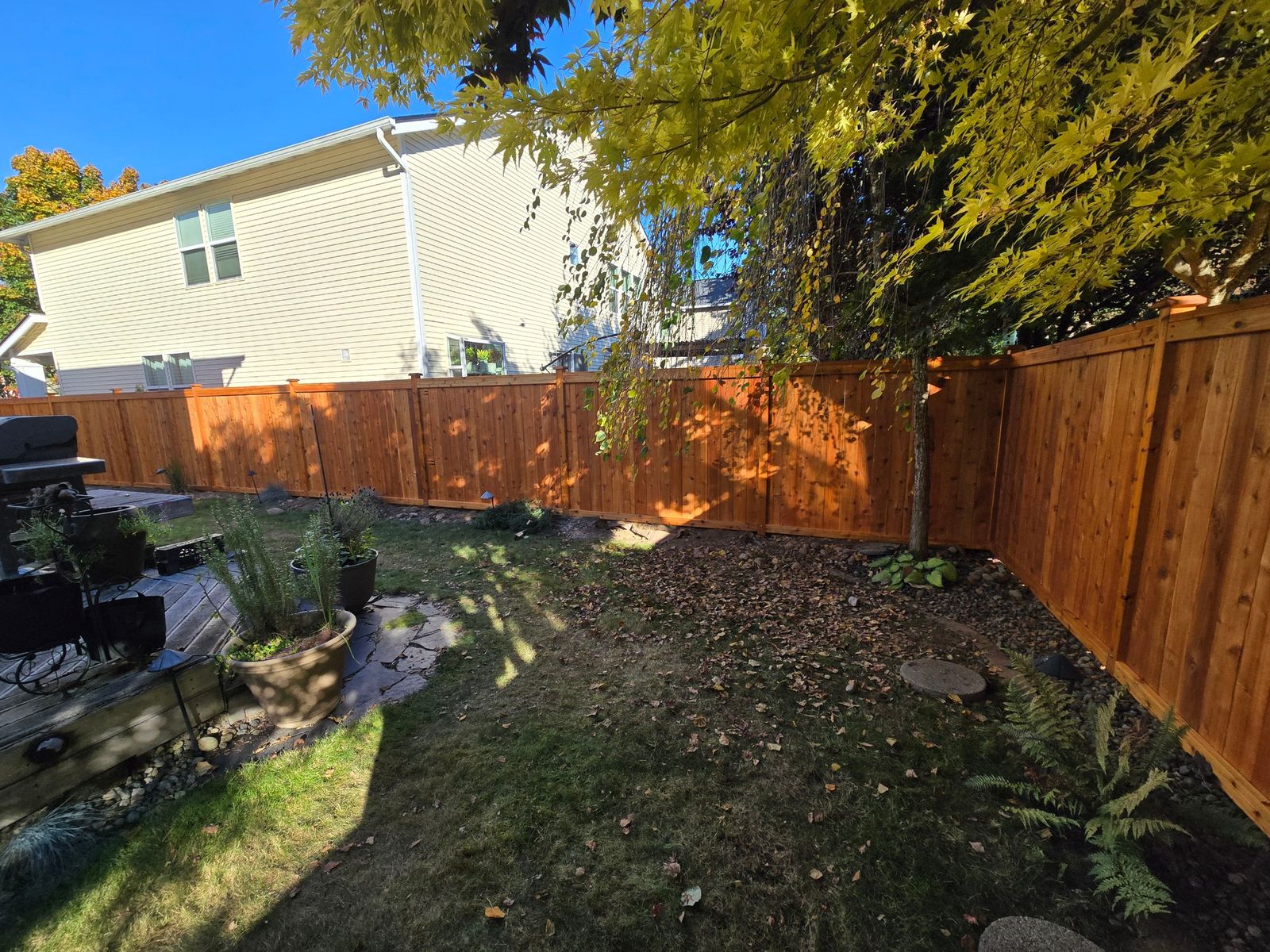 Penofin-stained cedar picture frame privacy fence around a backyard in Maple Valley, WA