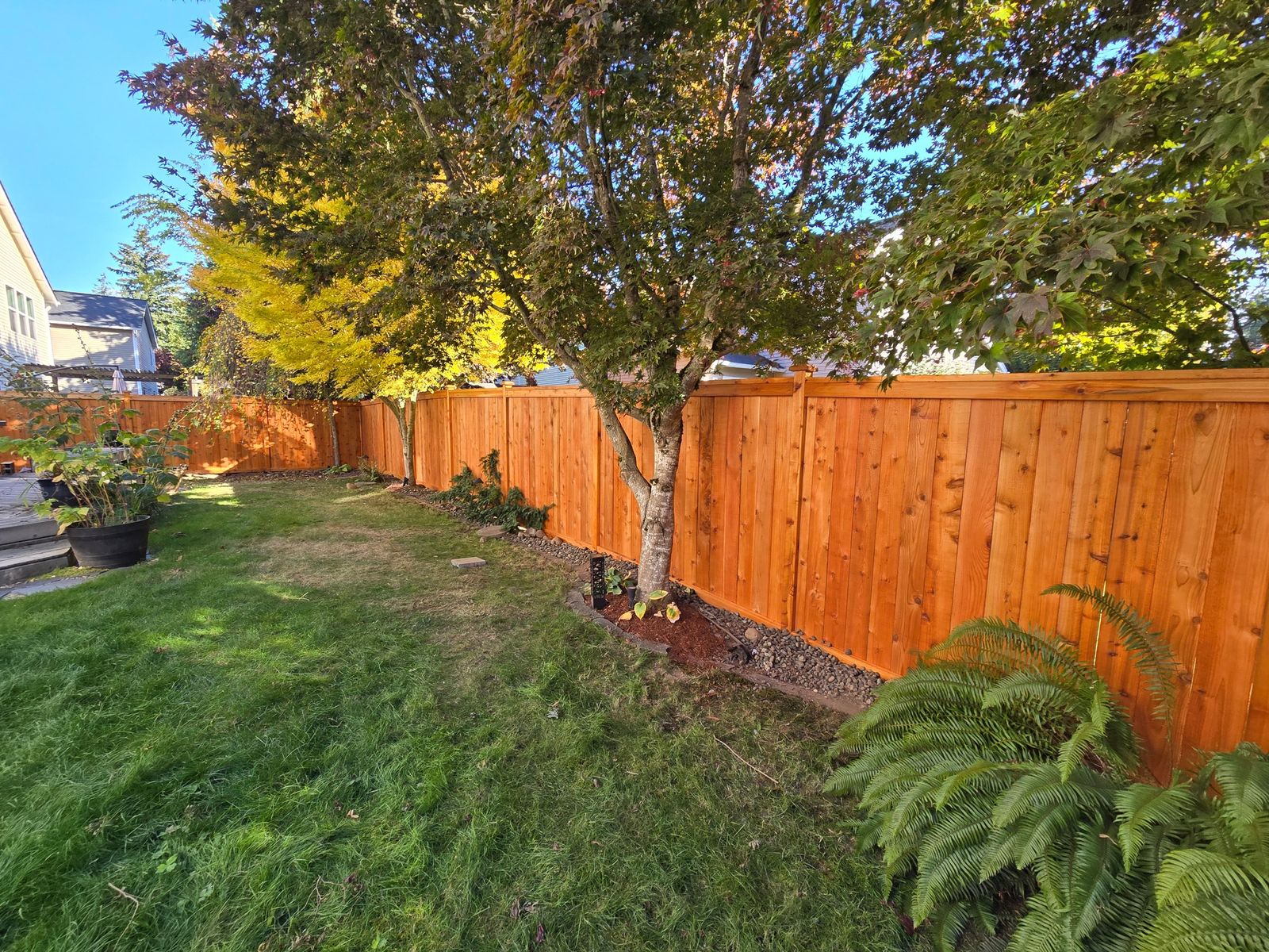 Cedar picture frame privacy fence lining a tree-shaded backyard lawn in Maple Valley, WA