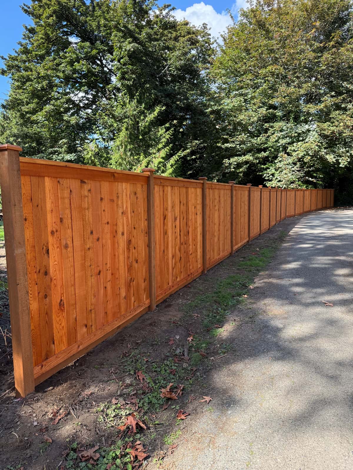 Penofin stained cedar picture frame fence along a driveway in Maple Valley, WA