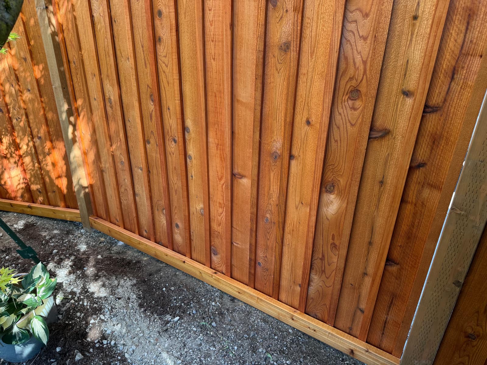 Penofin stained cedar picture frame fence boards and bottom trim in Renton, WA