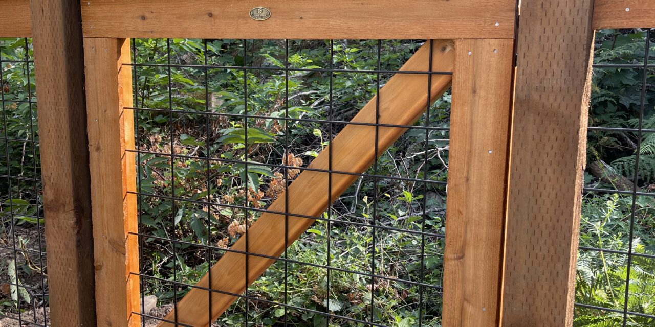 Hog Wire Fence Gate with Behr Stain